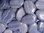Trommelstein, gebohrt "XL" - Chalcedon "Blue Lace"