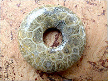 Donut (3,0cm)  - Versteinerte Koralle