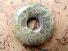 Donut (3,0cm)  - Versteinerte Koralle
