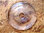 Donut (5,0cm) - Bergkristall (rekonstruiert)