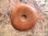 Donut (5,0cm) - Aventurin "Orange"