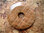 Donut (5,0cm) - Dolomit "fein gebändert"