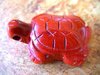 Schildkröte, gebohrt - Jaspis "Rot"