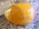 Trommelsteine - Calcit "Orange" (Extra Qualität)