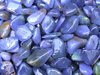 Trommelsteine (Kiloware!) - Chalcedon "Blau" (B-Qualität)