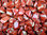 Trommelsteine (Kiloware!) - Jaspis "Red Striped" (Extra Qualität)
