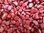 Edelstein-Zierkies - Jaspis "Rot"
