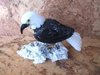 Edelsteingravuren - Vögel "klein" - Adler