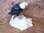 Edelsteingravuren - Vögel "groß" - Adler