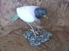 Edelsteingravuren - Vögel "groß" - Sperling
