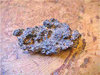 Mineralien - Fulgurit (Donnerkristall, Blitzröhre), klein