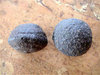 Mineralien - Moqui Marbles (Paar), klein