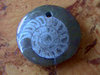 Anhänger - Ammonit