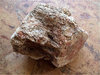 Mineralien - Versteinertes Holz (roh)