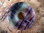 Donut (3,0cm) - Fluorit (Regenbogenfluorit)