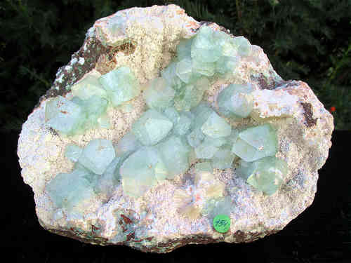 Mineralien - Apophyllit, grün "Exklusiv"
