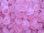 Trommelsteine (Kiloware!) - Girasol "Pink"