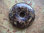 Donut (3,0cm) - Bronzit