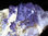 Mineralien "Exklusiv" - Fluorit "Violett" mit Baryt (Extra Qualität)