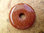 Donut (3,0cm) - Goldfluß