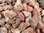 Mineralien - Leopardit (Onkolith) (1kg-Pack!!!)