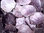 Mineralien - Lepidolith (Extra Qualität) (1kg-Pack!!!)