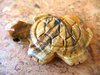 Schildkröte, gebohrt - Bilderjaspis